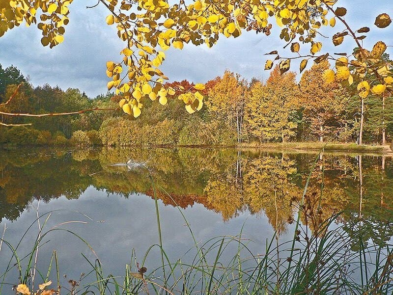 Letní atmosféra u rybníka v areálu Nová louka